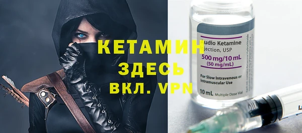 индика Инта