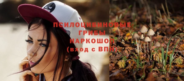 трава Зеленокумск